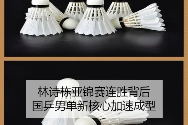 林诗栋亚锦赛连胜背后 国乒男单新核心加速成型